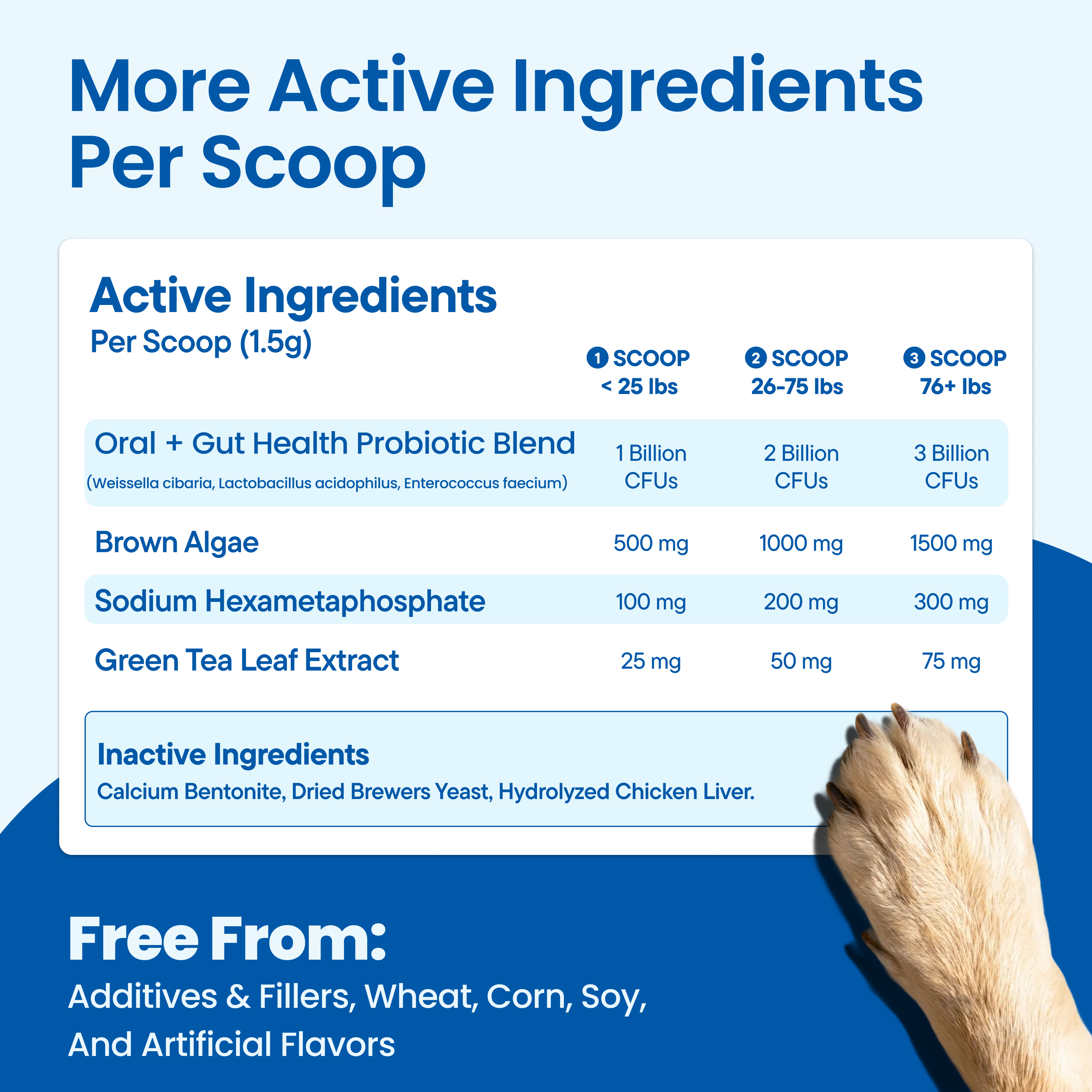 DENTAL & GUT POWDER — FIGHTS BAD BREATH & PLAQUE