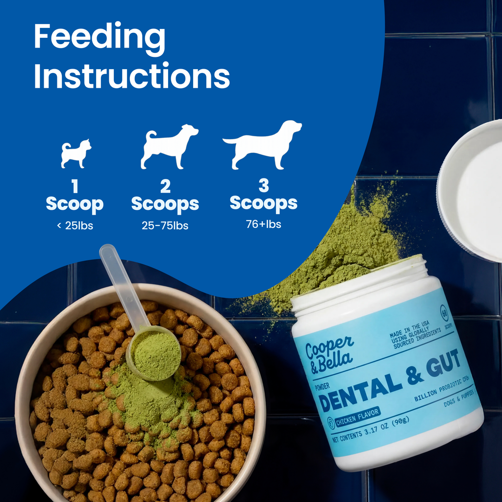 DENTAL & GUT POWDER — FIGHTS BAD BREATH & PLAQUE
