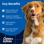 DENTAL & GUT POWDER — FIGHTS BAD BREATH & PLAQUE