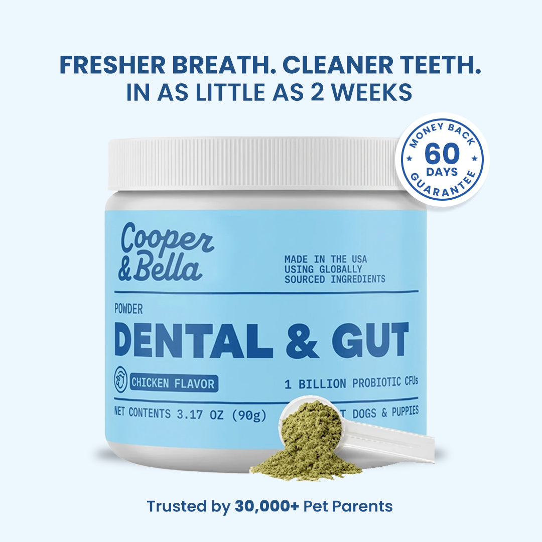 DENTAL & GUT POWDER — FIGHTS BAD BREATH & PLAQUE